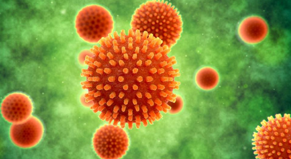 新视角！复旦大学联合南方医科大学共同发文：揭示肝癌临床治疗新策略