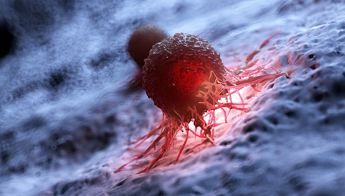 显著抗肿瘤！提高抗PD-1治疗效果！上海交通大学李晓光/王慧团队发现肿瘤抑制新机制