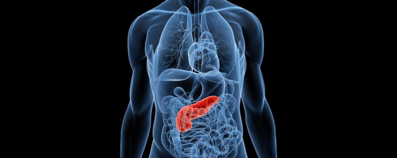 联合抑制！北京大学赵颖团队揭示“癌王”胰腺癌潜在治疗策略