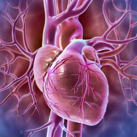 再次发力！复旦张英梅教授、葛均波院士等合作发文