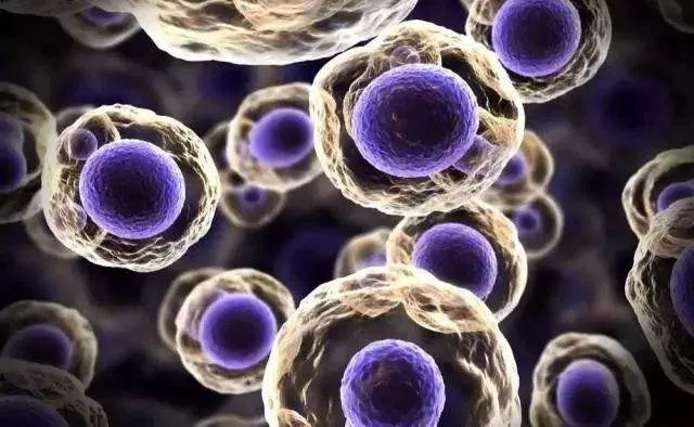 双重抗癌效果！叶海峰团队揭示基于细菌的创新癌症治疗方法