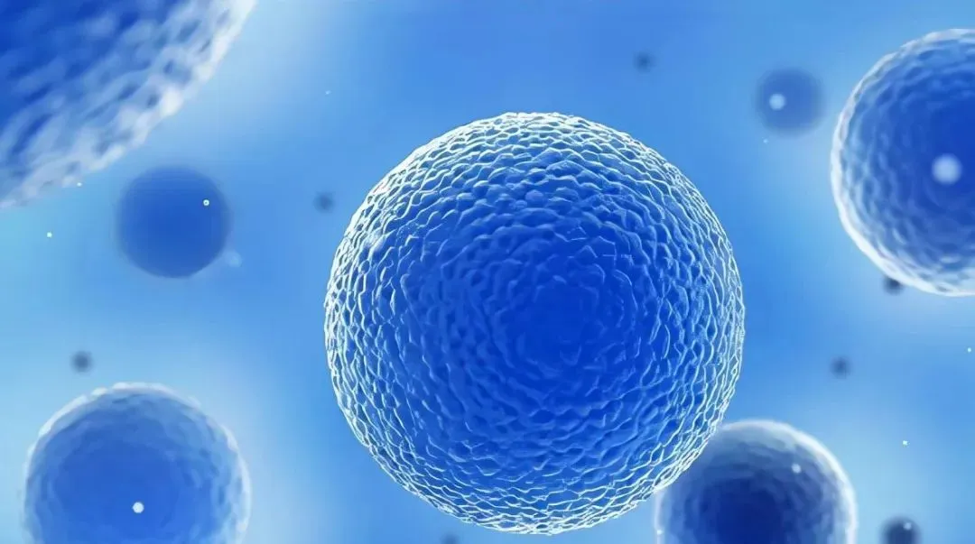 抑制肝癌进展！中国中医科学院揭示最新抗肿瘤策略和潜在抗癌新药