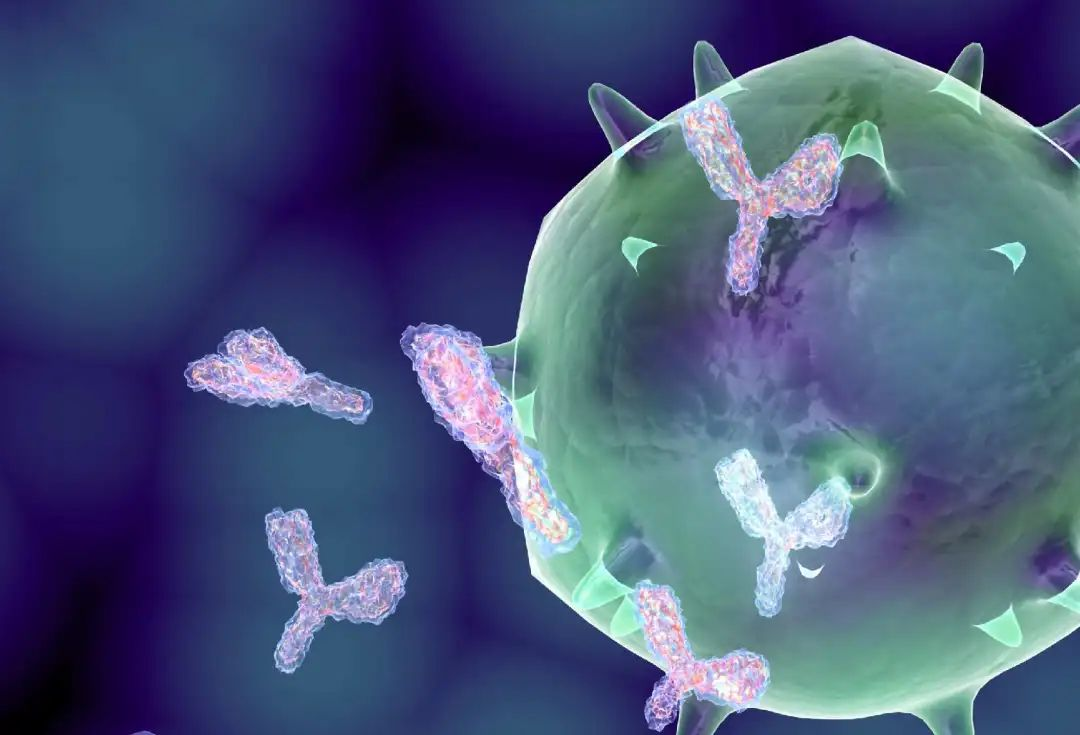 最新！浙江大学医学院附属第一医院发现癌症潜在预测性生物标志物