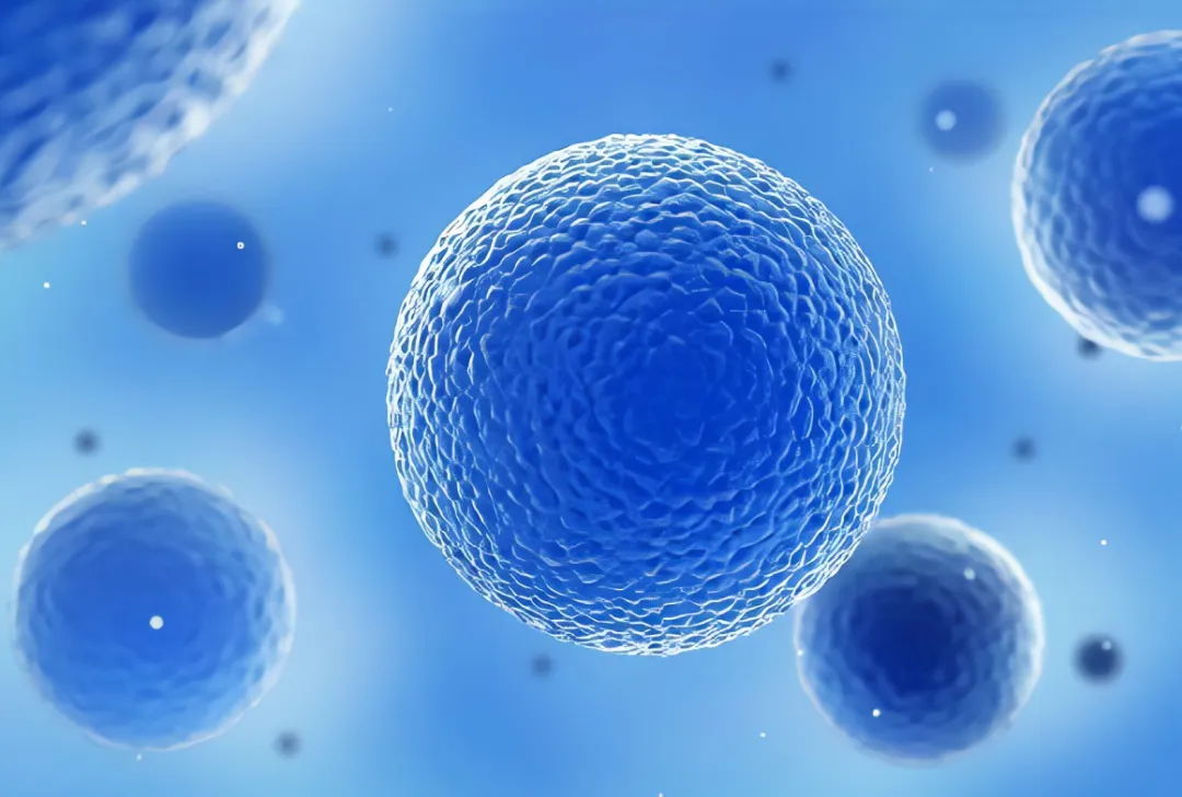 肿瘤抑制率达69.5%！首都医科大学等团队合作开发转移性肿瘤新型治疗方案