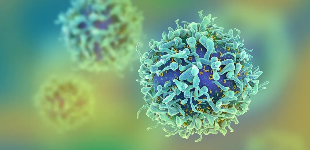 靶向抑制！复旦大学研究团队发现癌症最新治疗策略