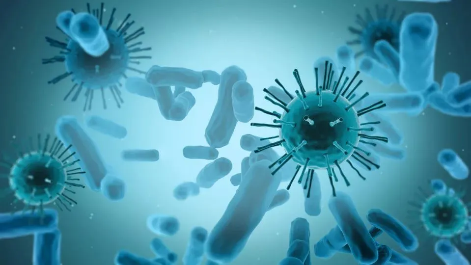 新思路！徐州医科大学等合作揭示结直肠癌治疗靶点