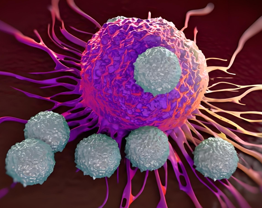 术后辅助治疗新选择！同济大学联合复旦大学：揭示抗肿瘤免疫高效策略