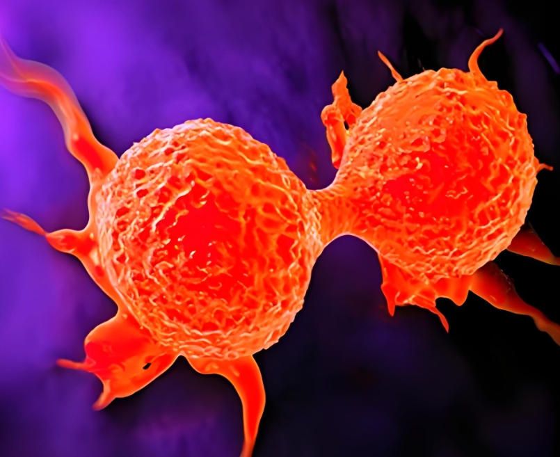 新视角！上海交通大学：发现乳腺癌治疗新方案