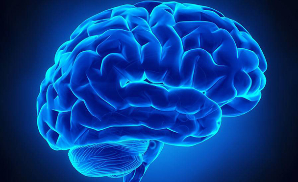 【Nature子刊】上海交通大学朱军/蔡瑜团队：神经胶质瘤有前景的治疗靶点