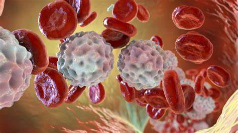 【Nature子刊】郑州大学第一附属医院张明智团队：LMP1促进T细胞淋巴瘤的有氧糖酵解