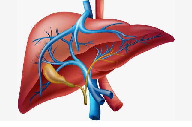 可使肝癌细胞对抗-PD1治疗增敏！复旦大学发文：有前景的肝癌免疫治疗靶点