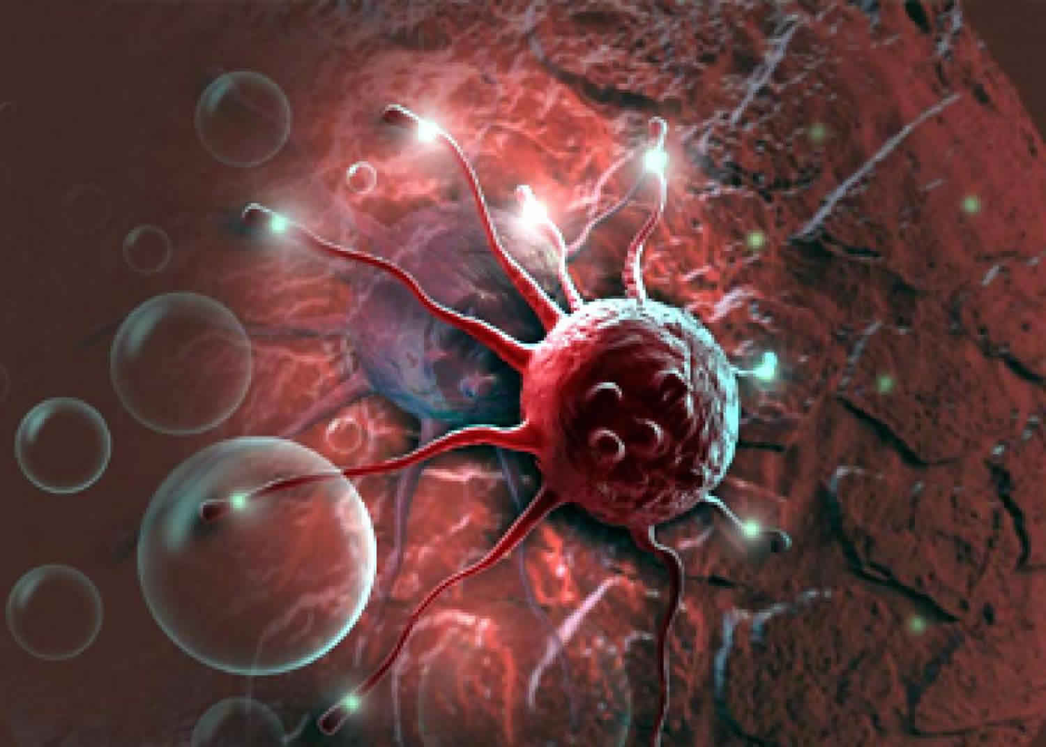 脂肪细胞也能抗癌？科学家发现植入工程化脂肪细胞可抑制肿瘤