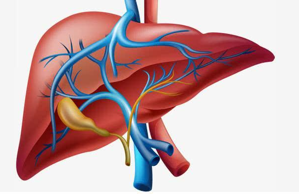 福医大攻克肝癌难题: 新策略实现