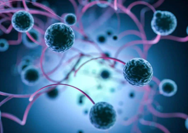 同济大学《Nature》子刊发文：揭示糖酵解重编程与免疫微环境调控的协同抗癌机制