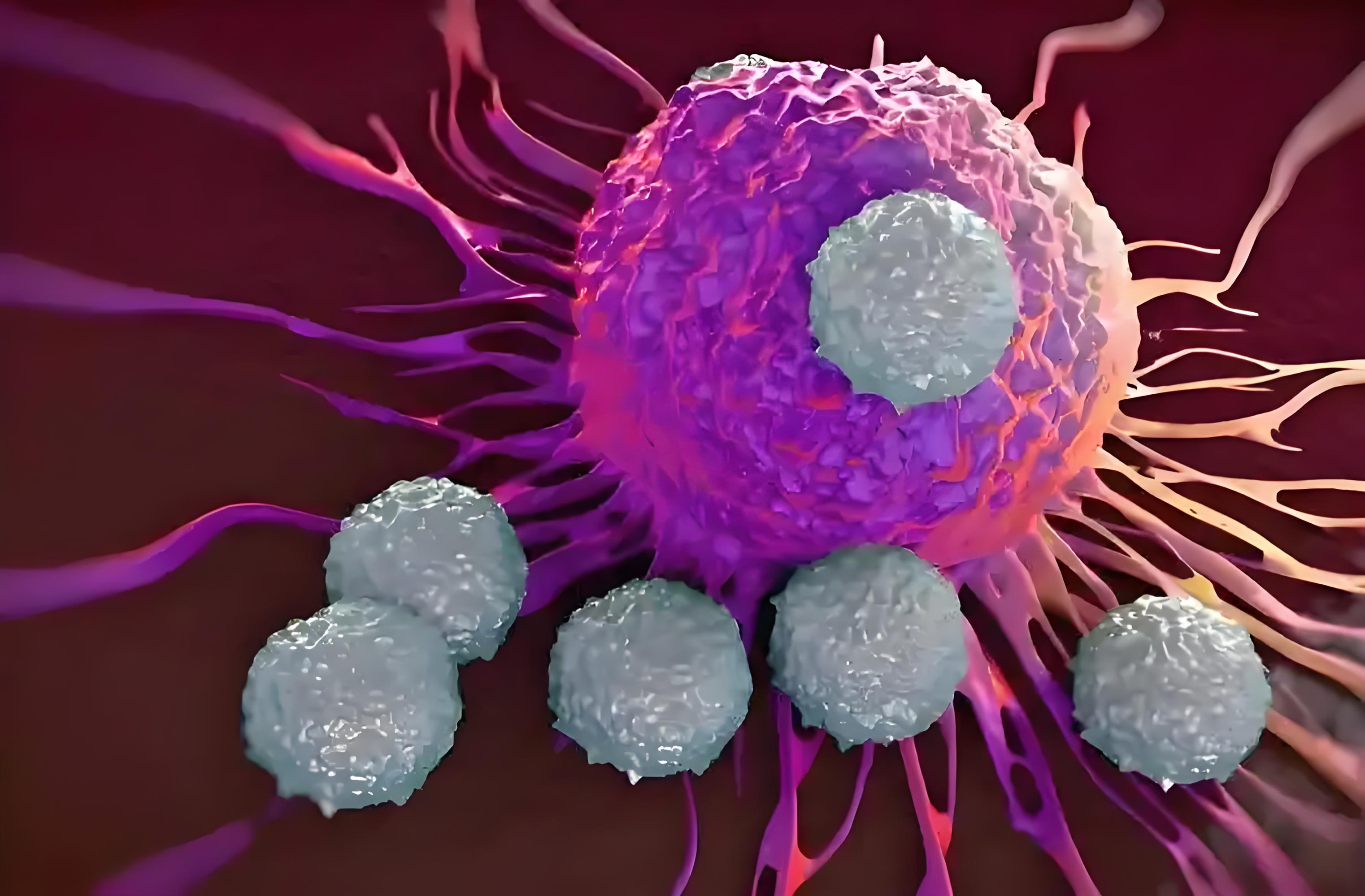 研究实锤！复旦大学/暨南大学合作发文：肝癌治疗药物乐伐替尼耐药性可被显著缓解