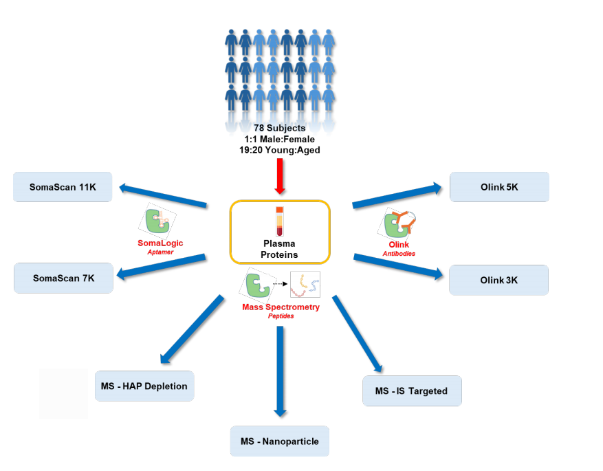 国内首家 IPP 服务商来了！欧易生物的这项服务，为何值得关注？