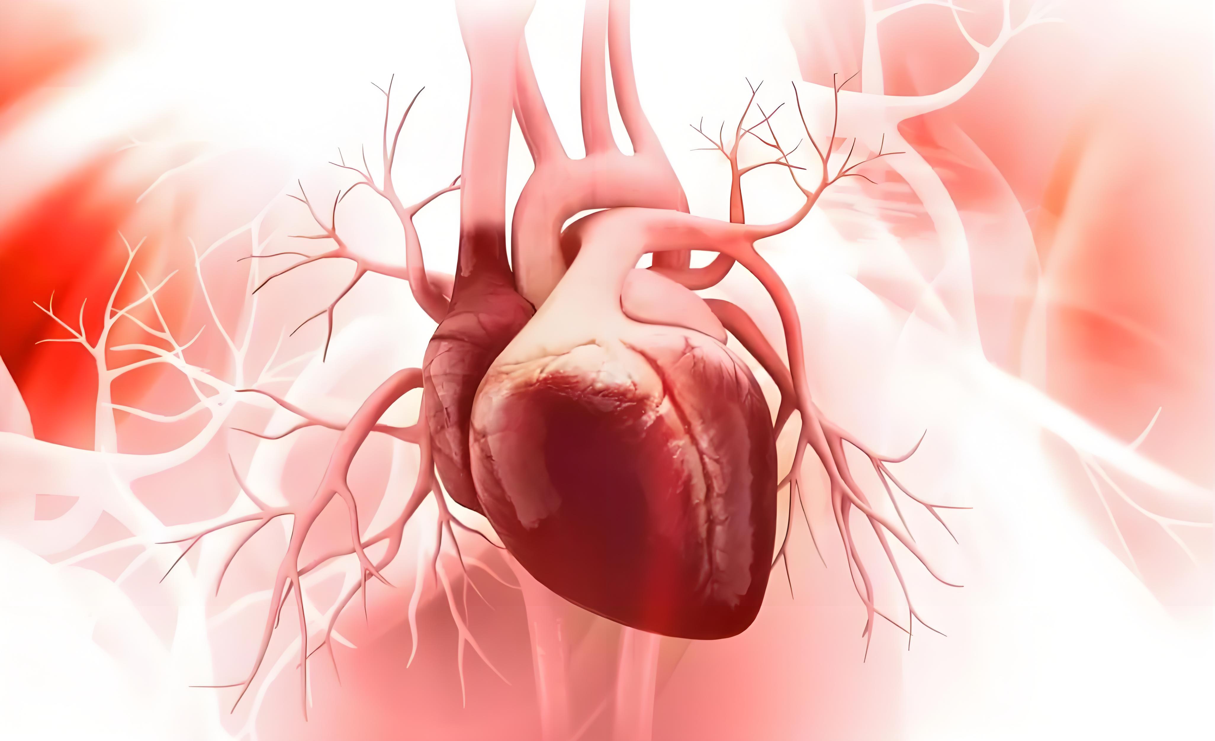 复旦大学葛均波院士团队突破研究：临床上治疗心血管疾病的创新策略