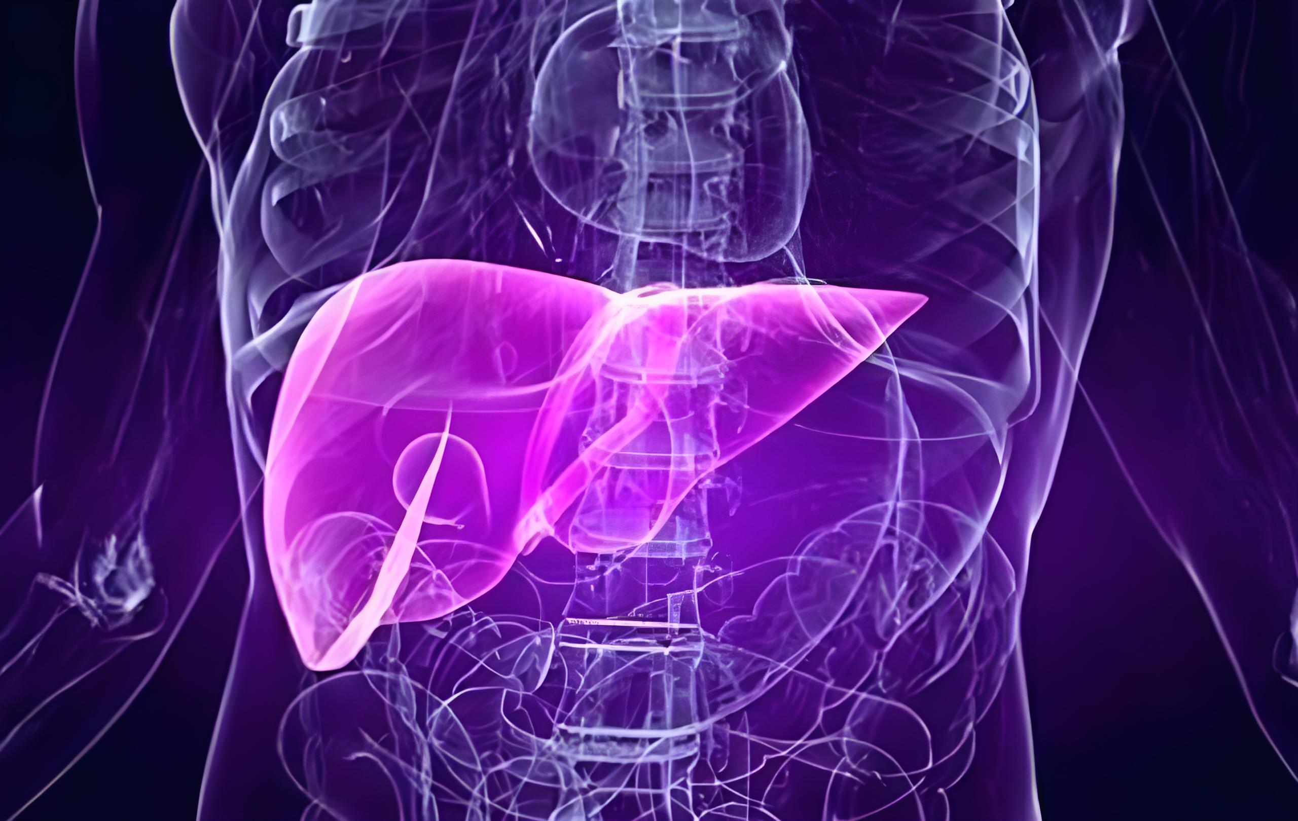 抑制肿瘤生长和血管生成！哈尔滨医科大学揭示肝癌治疗新靶点