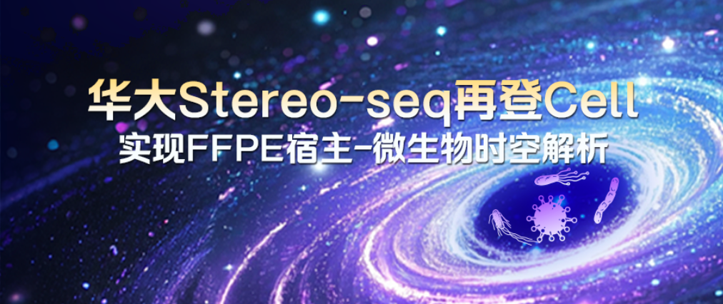 Cell | 攻克FFPE样本难题，华大Stereo-seq实现宿主-微生物时空解