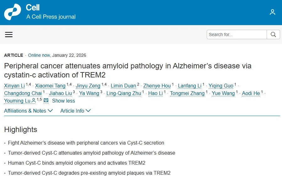 癌症对抗阿尔茨海默症！华中科技大学鲁友明团队Cell重磅研究：发现肿瘤分泌因子可清除大脑致病斑块，显著减轻阿尔茨海默病