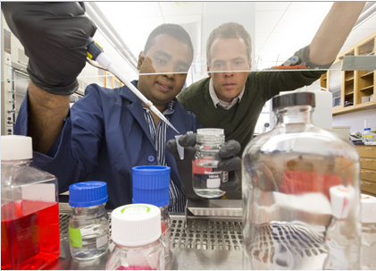 MCB：新发现或可减少化疗药物的使用剂量