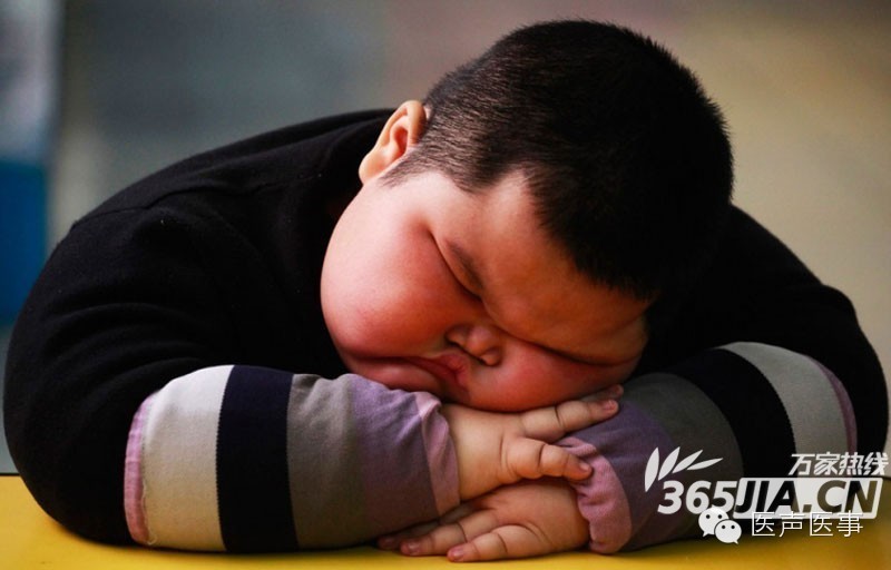 胖子分四色 黑胖子病情最重 你属于哪一种？ 